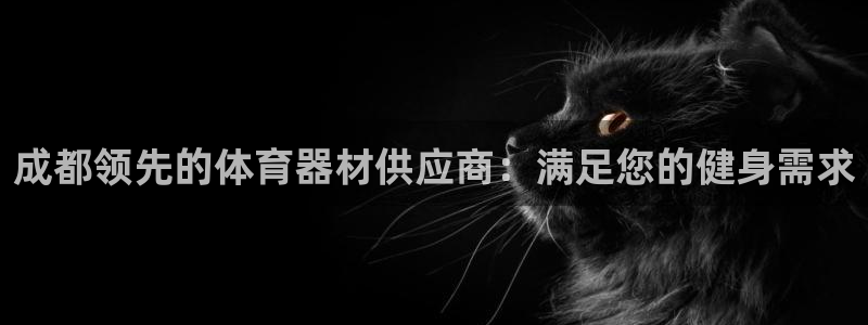 极悦娱乐代理多少钱一个月：成都领先的体育器材供应商：