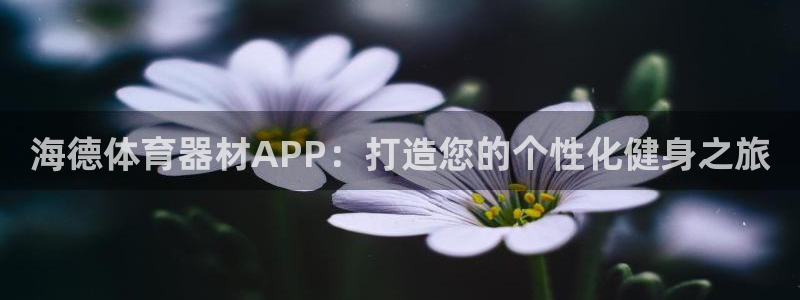 极悦娱乐官网最新版本更新内容下载：海德体育器材APP