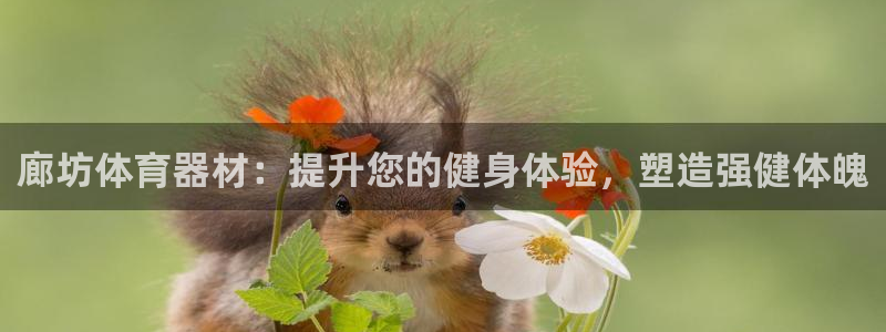 极悦生活家是什么平台的产品：廊坊体育器材：提升您的健