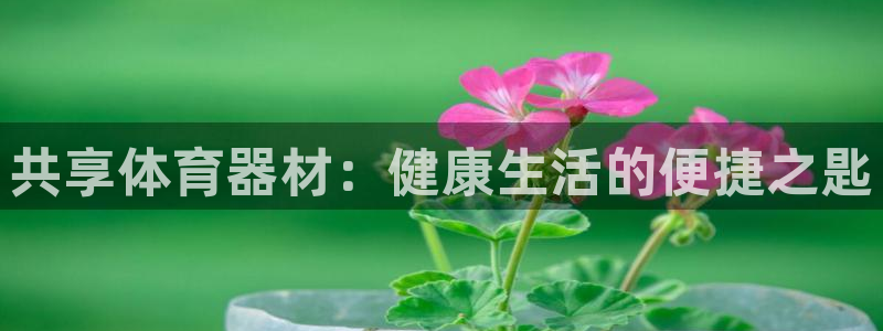 极悦平台注册资金多少钱：共享体育器材：健康生活的便捷