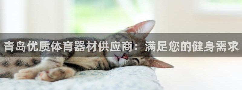 极悦官方网站app下载安装
