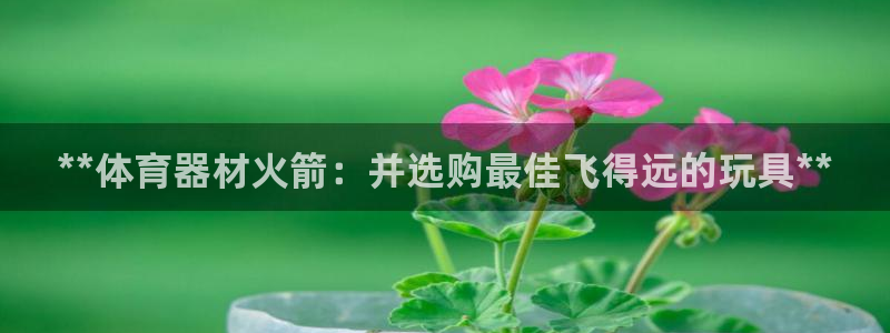 苏州极悦信息科技有限公司：**体育器材火箭：并选购最