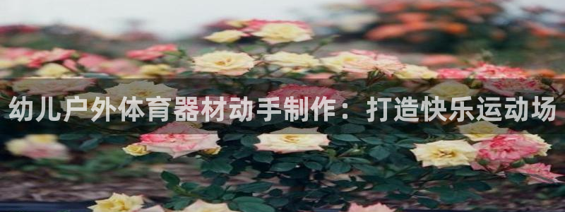 极悦官网的登录方法有哪些：幼儿户外体育器材动手制作：
