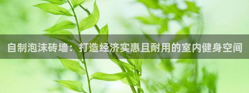 极悦平台注册官网网址：自制泡沫砖墙：打造经济实惠且耐