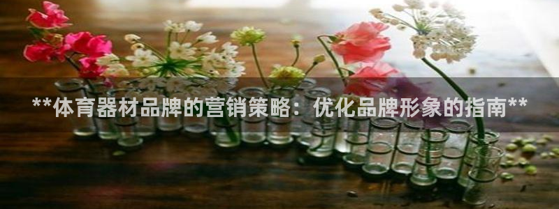 极悦平台客服团队怎么样：**体育器材品牌的营销策略：