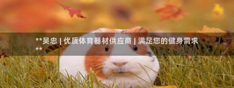 极悦平台反7O777：**吴忠 | 优质体育器材供应