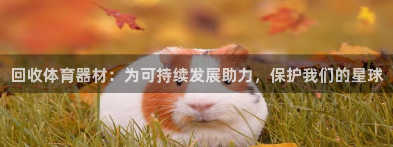 极悦娱乐百科百度：回收体育器材：为可持续发展助力，保