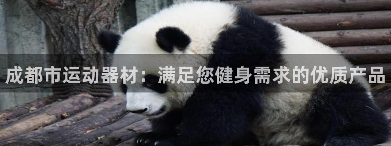 极悦平台的注册流程及注意事项有哪些：成都市运动器材：