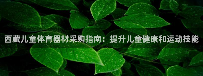 极悦娱乐最新版本更新内容分享：西藏儿童体育器材采购指