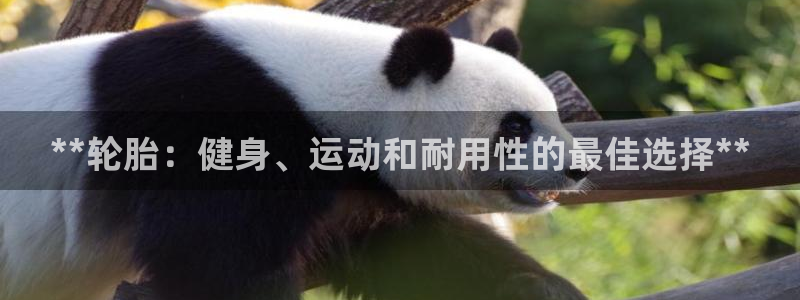 极悦娱乐会被骗吗安全吗：**轮胎：健身、运动和耐用性