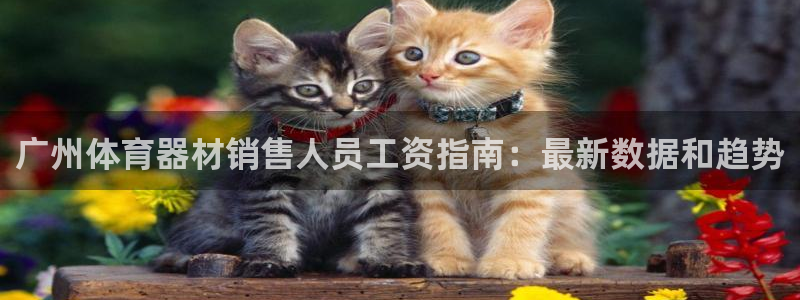 极悦娱乐的背景和历史背景分析：广州体育器材销售人员工