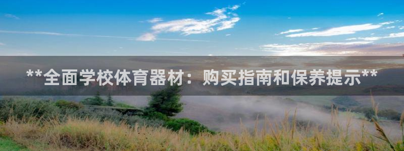 极悦平台注册流程详解：**全面学校体育器材：购买指南
