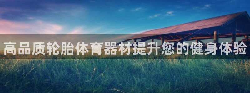 极悦娱乐官方网站下载：高品质轮胎体育器材提升您的健身