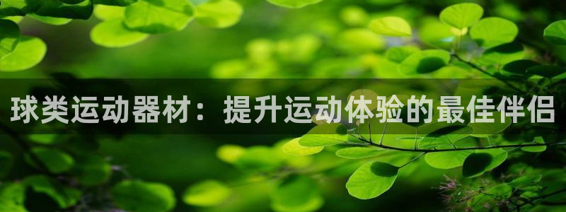 极悦平台官网入口登录：球类运动器材：提升运动体验的最佳伴侣