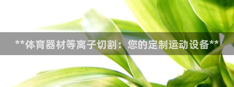 极悦平台注册和登录页面：**体育器材等离子切割：您的