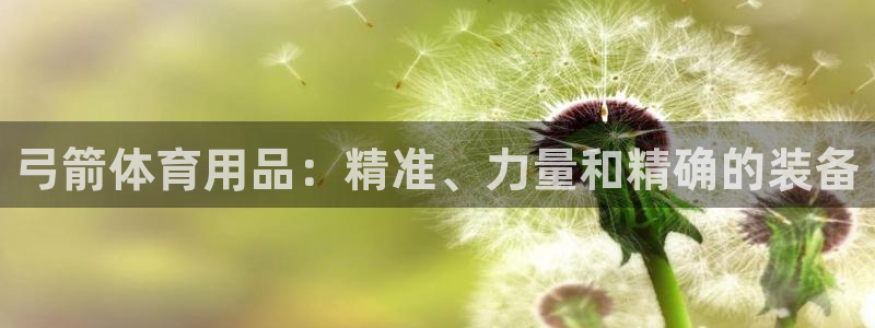 极悦平台官网下载中心app：弓箭体育用品：精准、力量