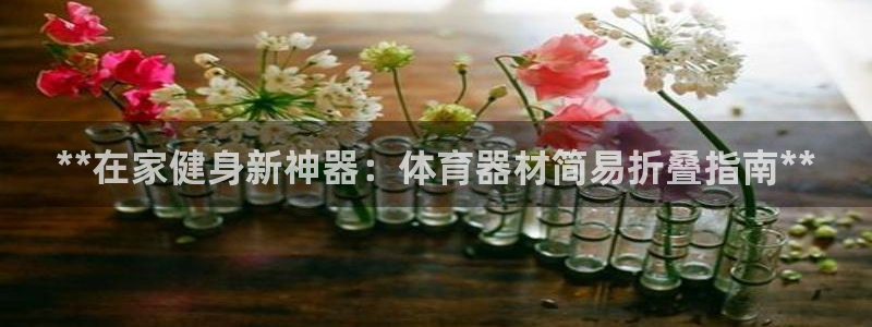 极悦平台注册资金多少钱：**在家健身新神器：体育器材