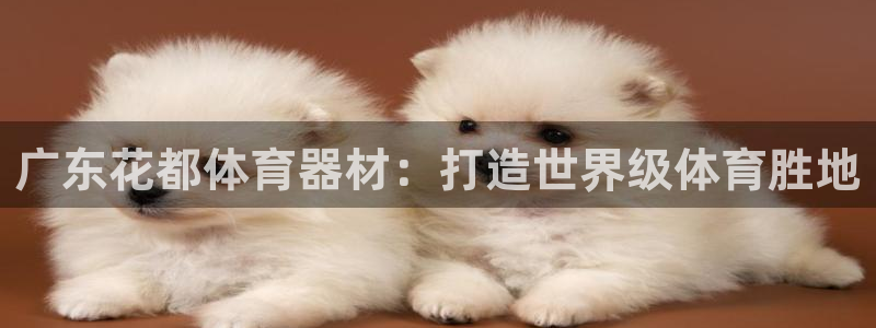 极悦娱乐官网下载：广东花都体育器材：打造世界级体育胜