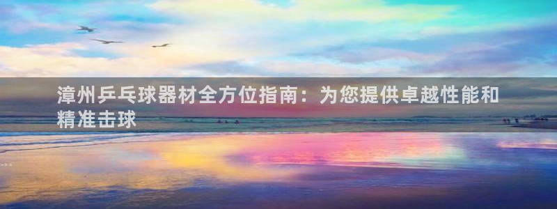 极悦娱乐负责人：漳州乒乓球器材全方位指南：为您提供卓