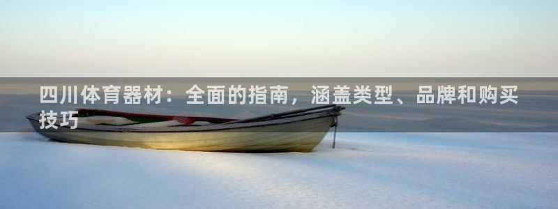 极悦平台与网易合作详情在哪：四川体育器材：全面的指南