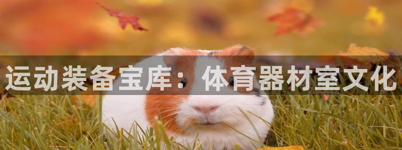 极悦平台官方网站入口链接下载：运动装备宝库：体育器材