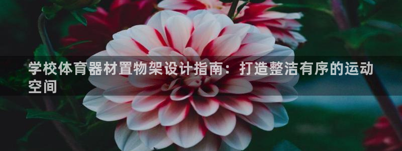 极悦平台注册申请流程详解图片：学校体育器材置物架设计