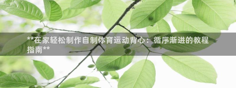 极悦平台注册流程详解图：**在家轻松制作自制体育运动