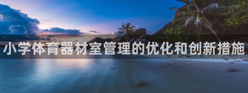 极悦娱乐创始人背景故事介绍：小学体育器材室管理的优化