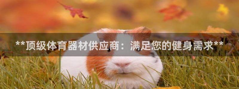 极悦平台注册申请流程详解图：**顶级体育器材供应商：