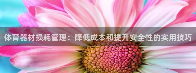极悦娱乐代理多少钱一个月：体育器材损耗管理：降低成本