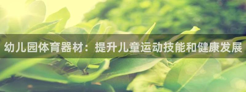 极悦娱乐官方网站下载：幼儿园体育器材：提升儿童运动技