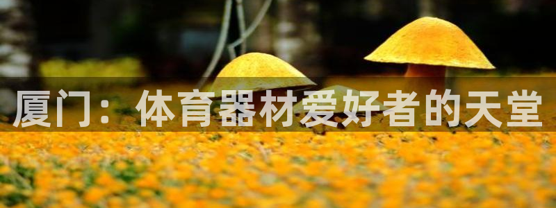 极悦官网登录：厦门：体育器材爱好者的天堂