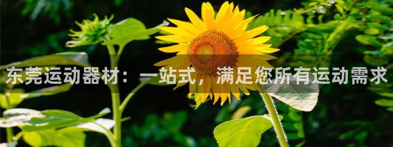 极悦官方网站app下载安装：东莞运动器材：一站式，满