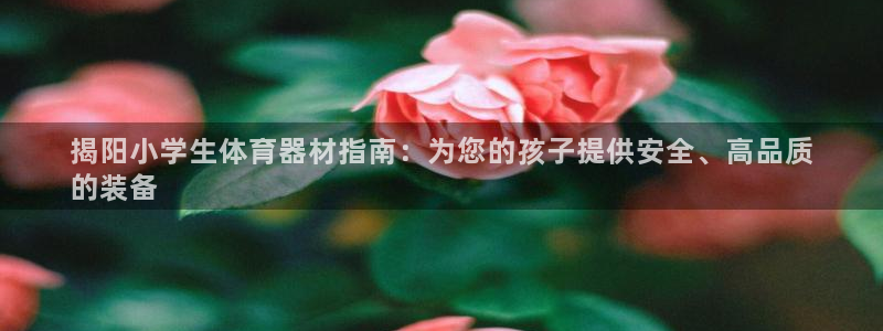 极悦平台登录人7.0.2.4登录入口：揭阳小学生体育