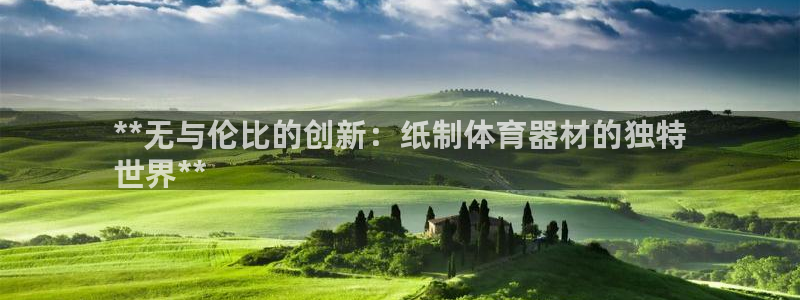 极悦平台注册失败如何解决：**无与伦比的创新：纸制体