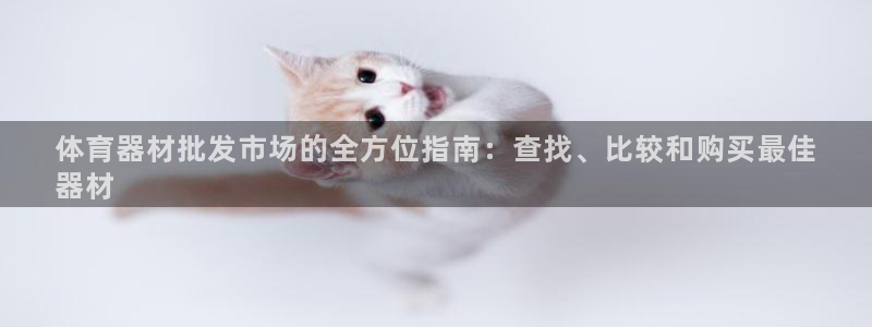 极悦娱乐官网下载app：体育器材批发市场的全方位指南