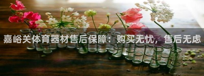 极悦平台官方网站下载：嘉峪关体育器材售后保障：购买无