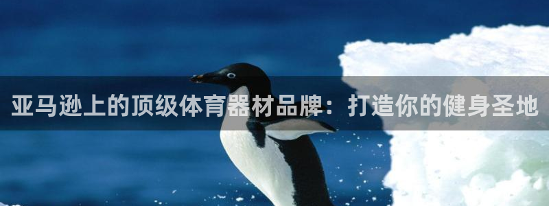 极悦平台注册失败如何解决呢：亚马逊上的顶级体育器材品