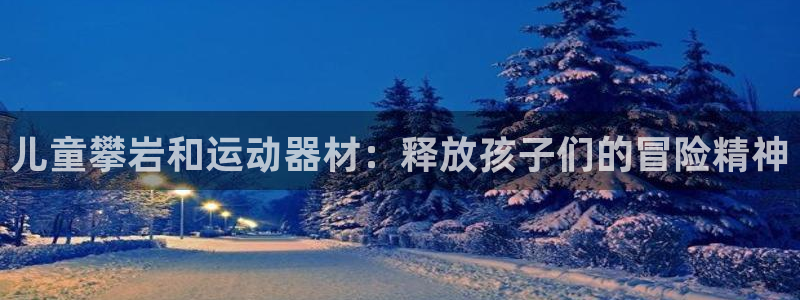 极悦平台注册流程图片：儿童攀岩和运动器材：释放孩子们