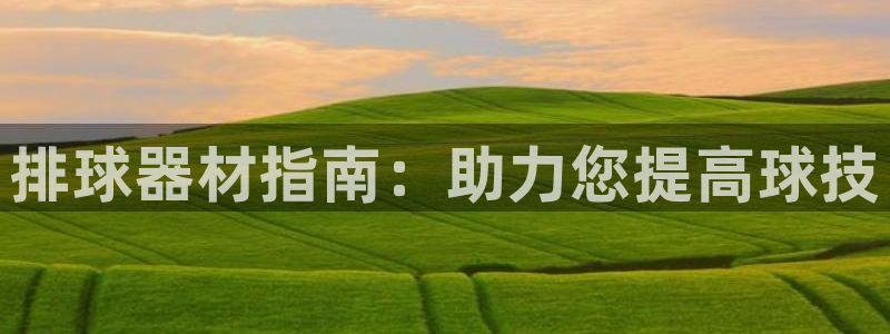 极悦平台官方网站是什么软件：排球器材指南：助力您提高
