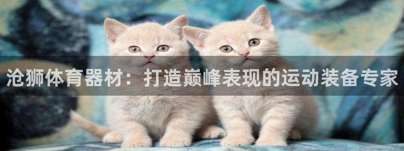 极悦平台的注册流程及注意事项是什么：沧狮体育器材：打