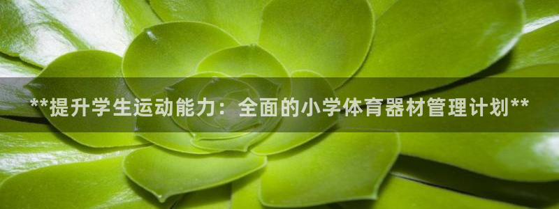 极悦平台基7O777：**提升学生运动能力：全面的小