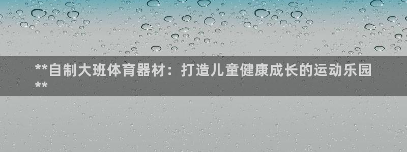 极悦平台注册登录不上：**自制大班体育器材：打造儿童