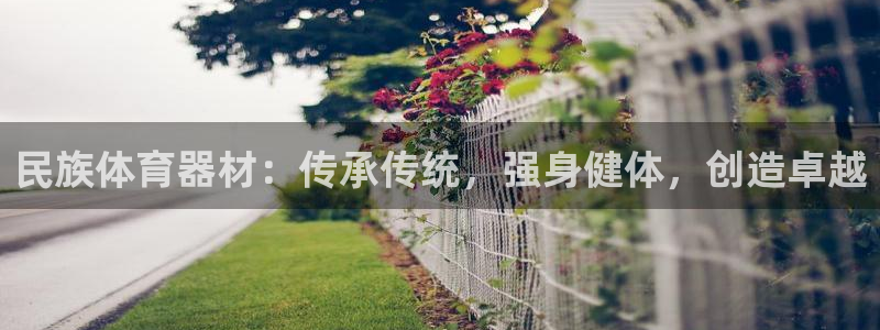 极悦娱乐：民族体育器材：传承传统，强身健体，创造卓越