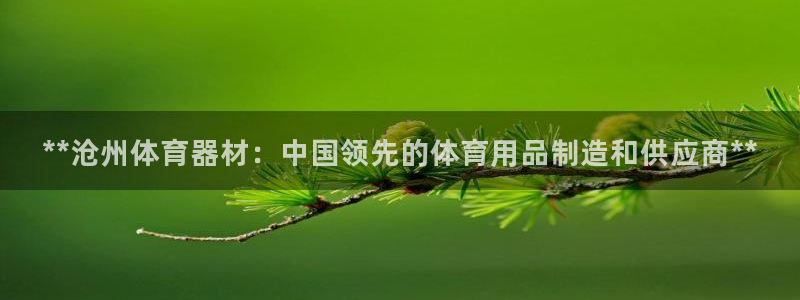 极悦平台注册登录：**沧州体育器材：中国领先的体育用