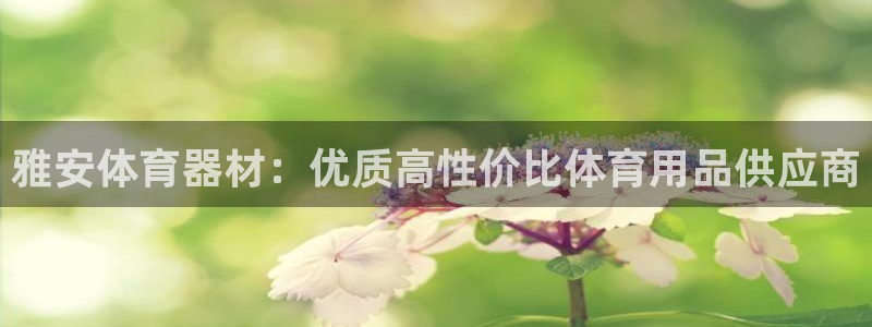 极悦平台官网登录不了怎么办：雅安体育器材：优质高性价