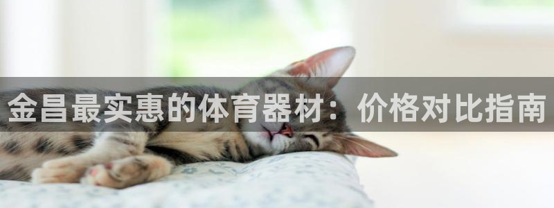 极悦娱乐百科百度：金昌最实惠的体育器材：价格对比指南