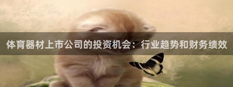 极悦平台注册官方网站下载：体育器材上市公司的投资机会