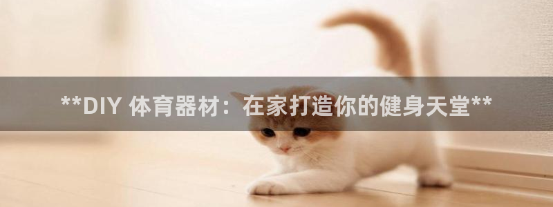 舒客极悦牙膏：**DIY 体育器材：在家打造你的健身