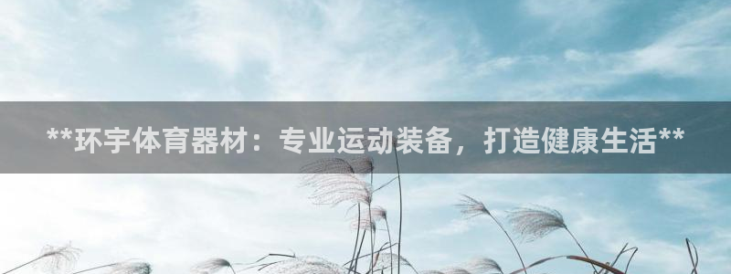 极悦娱乐管理最建议买吗：**环宇体育器材：专业运动装